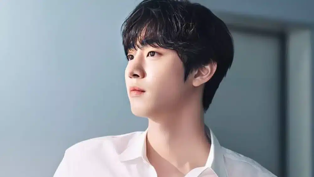Read more about the article ประวัติและผลงาน อันฮโยซอบ(Ahn Hyo Seop)