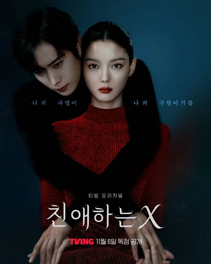 Dear X poster