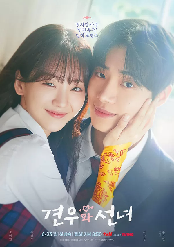 Head over Heels Kdrama poster