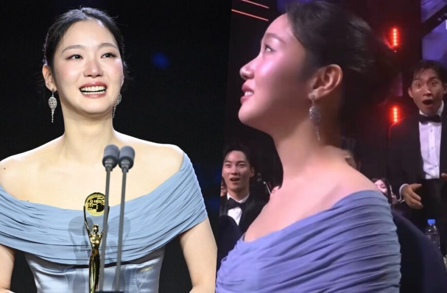 Kim Go Eun, Blue Dragon Series Awards